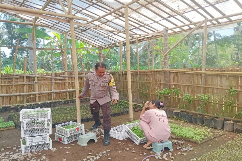 Warga Banyu Urip Lombok Barat Sulap Pekarangan Jadi Lahan Pangan