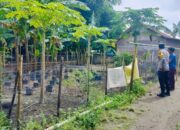 Polsek Labuapi Dorong Kemandirian Pangan Lewat Pemanfaatan Lahan
