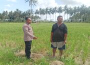 Bhabinkamtibmas Banyu Urip Gerakkan Ketahanan Pangan Desa