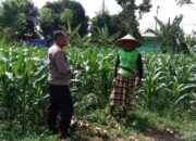 Polres Lombok Barat Kawal Swasembada Pangan di Labuapi