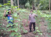 Bhabinkamtibmas Pusuk Lestari Sulap Lahan Tidur Jadi Produktif