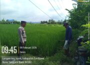 Dukung Kemandirian Pangan, Bhabinkamtibmas Desa Langam Edukasi Petani Manfaatkan Lahan Kosong