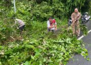 Respon Cepat Bhabinkamtibmas Bersama Warga Gotong Royong Bersihkan Pohon Tumbang