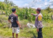 Bhabinkamtibmas Desa Dorokobo Pantau Lahan Jagung Warga, Dukung Ketahanan Pangan Menuju Indonesia Emas 2045