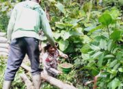 Bhabinkamtibmas Polsubsektor Palibelo Sisihkan Sebagian Rezekinya Bantu Perbaikan Jembatan di Desa Binaannya