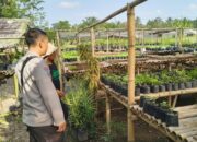 Bhabinkamtibmas Desa Tamekan Monitoring Pekarangan Bergizi, Dukung Program Asta Cita Swasembada Pangan