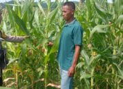 Bhabinkamtibmas Polsek Woja Pantau Lahan Jagung Kelompok Tani “WUWU DEWA”, Dukung Ketahanan Pangan Menuju Indonesia Emas 2045