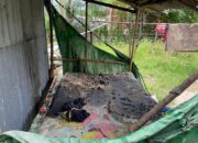 Tolak Disuruh Cari Rumput, Seorang Pemuda di Plampang Diduga Dibakar Ibu Kandungnya Sendiri