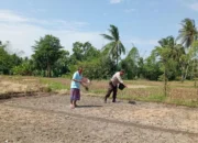 Polri Kawal Swasembada Pangan di Desa Merembu Lombok Barat