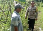 Polri Kawal Swasembada Pangan di Lombok Barat melalui Aksi Nyata