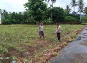 Polsek Gerung Kawal Ketahanan Pangan di Giri Tembesi