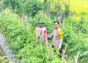 Bhabinkamtibmas Sakra Selatan Silaturahmi dan Monitor Program Ketahanan Pangan di Bagik Periduk