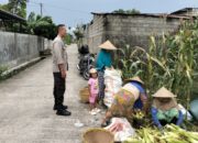 Polsek Labuapi Dampingi Petani Wujudkan Swasembada Pangan