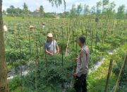 Sinergi Polri dan TNI, Aiptu Azhari dan Sertu Ruslan Haryadi Sambangi Ketua Gapoktan Rarang Selatan