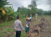 Dukung Ketahanan Pangan, Bhabinkamtibmas Desa Pringgabaya Dampingi Penanaman Jagung di Lahan Warga