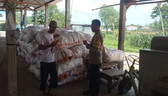 Polsek Gerung Edukasi Warga Manfaatkan Polibag untuk Pangan Mandiri