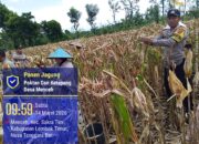 Personel Polsek Suela Patroli Malam, Jaga Stabilitas Kamtibmas di Wilayah Hukum