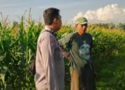 Polri Perkuat Kedaulatan Pangan di Lombok Barat Melalui Desa