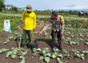 Bhabinkamtibmas Desa Bagik Papan Lakukan Silaturahmi dan Pengecekan Tanaman Warga
