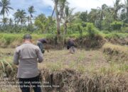 Kapolsek Wanasaba Cek Lokasi Penanaman Jagung, Ajak Warga Dukung Ketahanan Pangan
