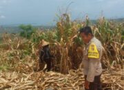 Melalui Silaturahmi, Bhabinkamtibmas Taropo Perkuat Sinergi Polri dan Masyarakat