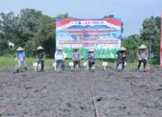 Kapolda NTB Ikut Tanam Raya Jagung di Praya, Dukung Swasembada Pangan 2026