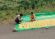 Bhabinkamtibmas Desa Serakapi Sambangi Petani Jagung, Ajak Warga Jaga Kamtibmas dan Teliti Saat Penimbangan Hasil Panen