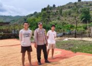 Bhabinkamtibmas Desa Kramat Pantau Hasil Panen Jagung Warga, Dukung Program Ketahanan Pangan Nasional