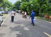 Demi Kenyamanan Masyarakat Yang Menikmati Liburan di Pantai Kalaki, Sat polairud Polres Bima Kabupaten Disiagakan