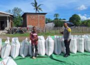 Bhabinkamtibmas Polsek Kempo Pantau Penjemuran Jagung Warga, Dukung Distribusi ke Bulog