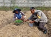 Polres Lobar Perkuat Ketahanan Pangan di Desa Merembu Labuapi