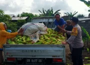 Langkah Nyata Polri di Lombok Barat: Jamin Kelancaran Rantai Pasok Pangan dari Desa ke Pasar