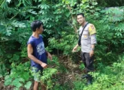 Polsek Labuapi Perkuat Ketahanan Pangan di Desa Bengkel