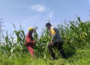 Sinergi Polri dan Petani, Kunci Utama Wujudkan Kedaulatan Pangan Berkelanjutan di Lombok Barat