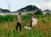 Sinergi Polri dan Petani: Strategi Polsek Labuapi Perkuat Ketahanan Pangan di Desa Karang Bongkot