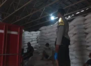 Sinergi Polri dan Petani Mareje: Distribusi Tonase Jagung ke Bulog Perkuat Ketahanan Pangan Nasional