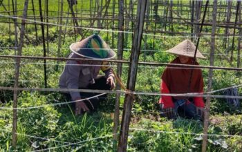 Polsek Labuapi Perkuat Ketahanan Pangan Desa Bagik Polak