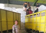 Sinergi Polri dan Petani, Distribusi Jagung Pipilan ke Gudang Bulog Gelogor Demi Ketahanan Pangan