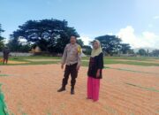Bhabinkamtibmas Polsek Hu’u Pantau Penjemuran Jagung Warga, Dukung Ketahanan Pangan Nasional
