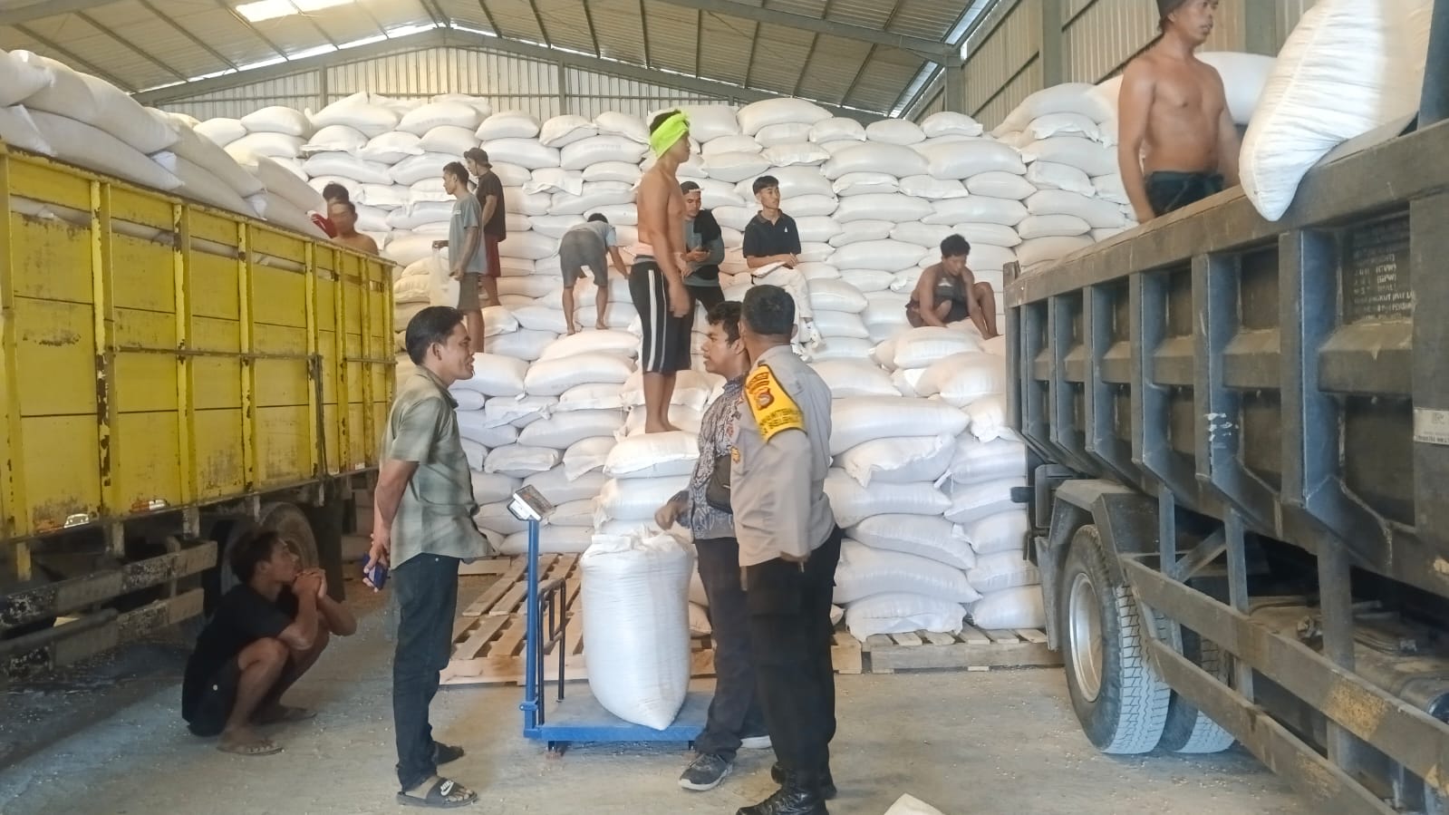 Polsek Gerung Kawal Distribusi Jagung Petani ke BULOG