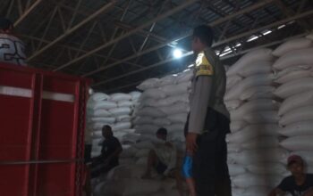 Update Distribusi Jagung Poktan Bina Karya ke Gudang Bulog