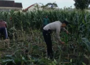 Program Ketahanan Pangan Polsek Labuapi Sasar Pekarangan