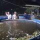 Kapolsek Terara Kunjungi Pembudidaya Ikan Bioflok di Desa Sukadana, Dukung Ketahanan Pangan