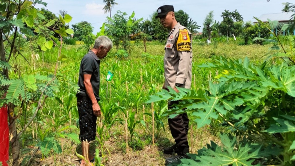 Polri Kawal Ketahanan Pangan Nasional di Desa Labuapi