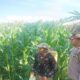 Polsek Gerung Kawal Program Ketahanan Pangan di Banyu Urip