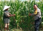 Polri Dukung Ketahanan Pangan Melalui Pendampingan Petani