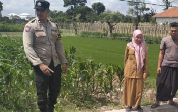Polsek Labuapi Perkuat Ketahanan Pangan di Desa Binaannya