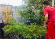 Polsek Labuapi Edukasi Pemanfaatan Lahan Pekarangan Warga