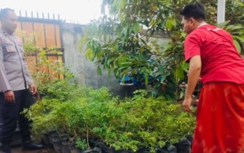 Polsek Labuapi Edukasi Pemanfaatan Lahan Pekarangan Warga
