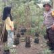 Lahan Sempit Bukan Halangan, Bhabinkamtibmas Bagik Polak Barat Sulap Pekarangan Jadi Sumber Pangan Mandiri